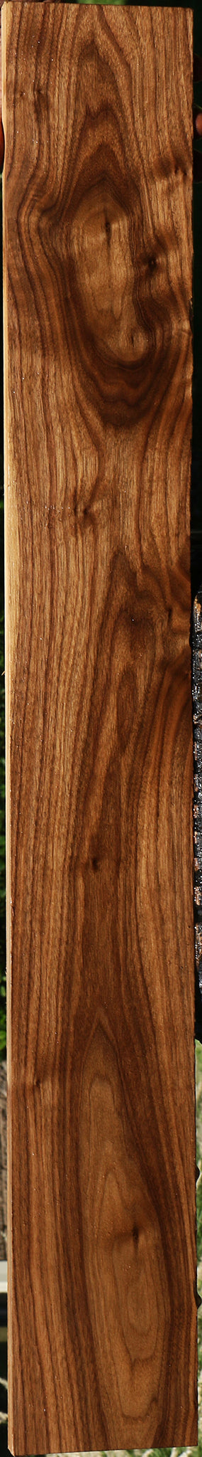American Walnut Lumber