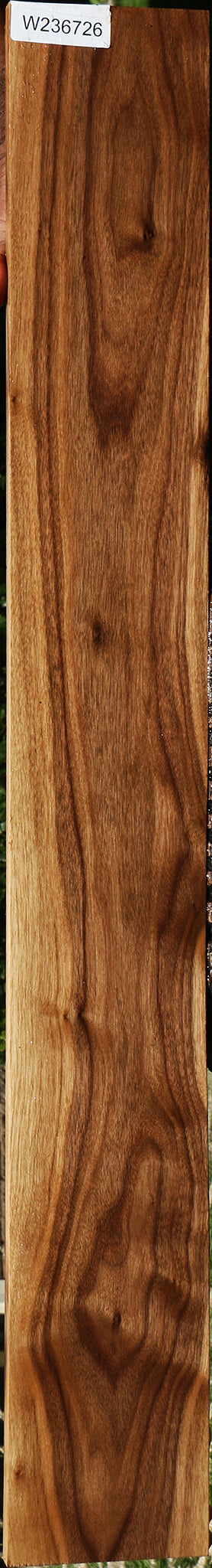 American Walnut Lumber