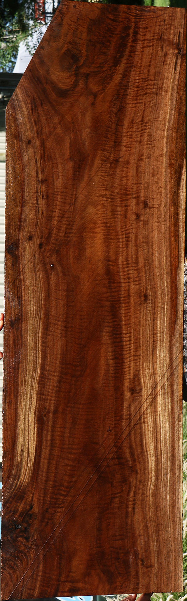 Exhibition Claro Walnut Lumber