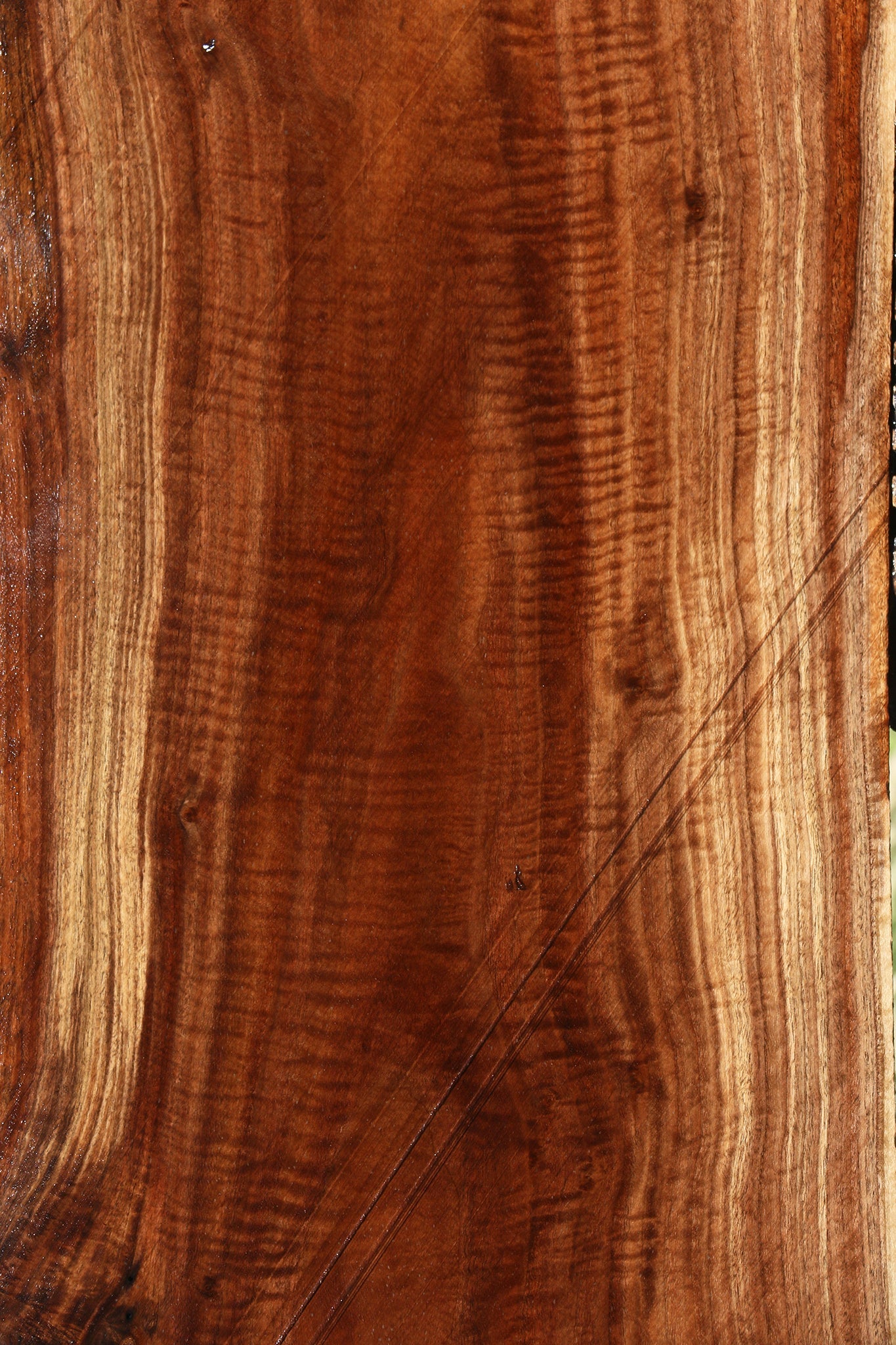 Exhibition Claro Walnut Lumber