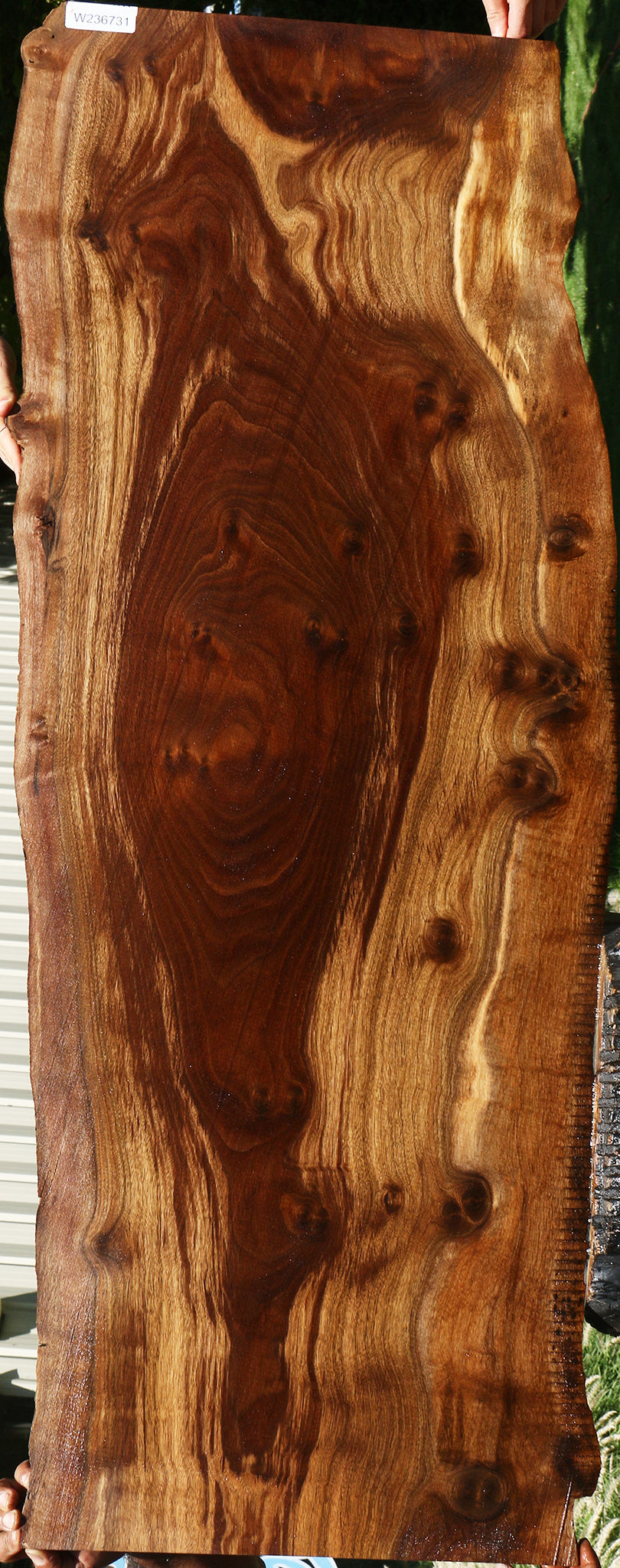 Figured Claro Walnut Live Edge Slab