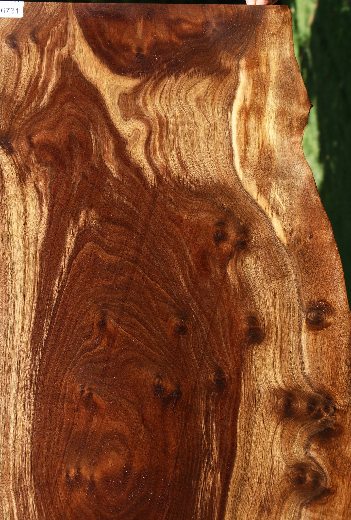 Figured Claro Walnut Live Edge Slab