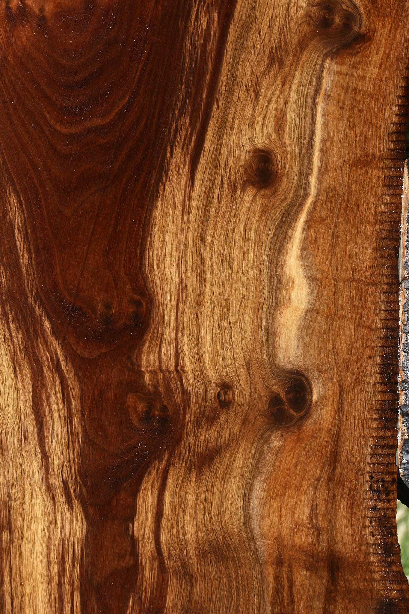 Figured Claro Walnut Live Edge Slab