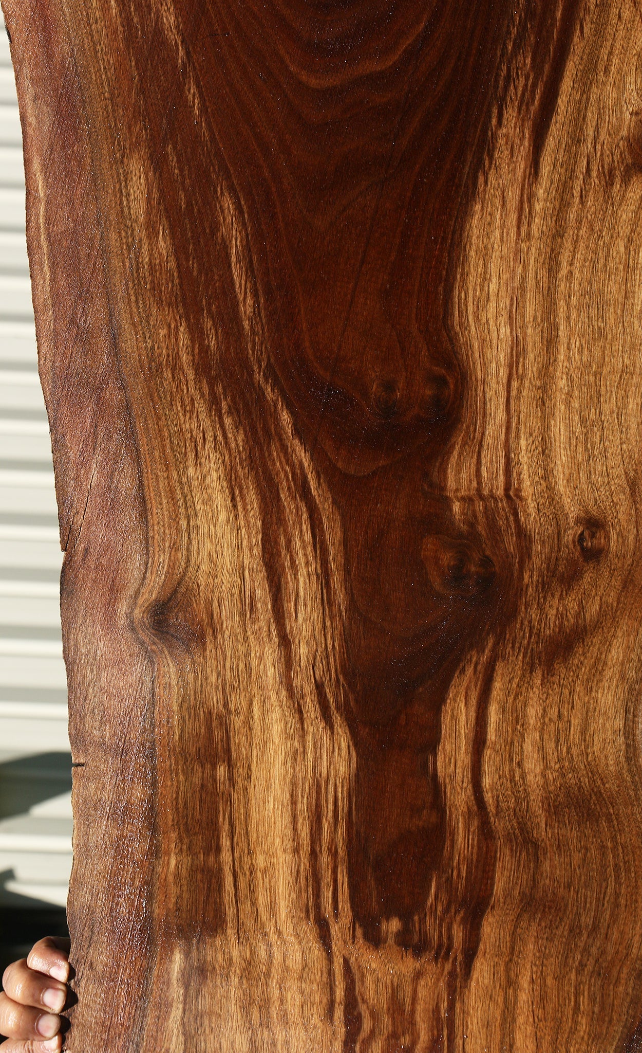 Figured Claro Walnut Live Edge Slab