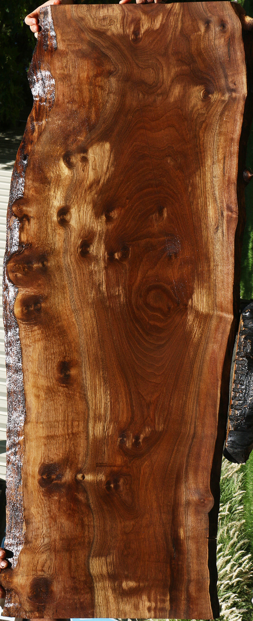 Figured Claro Walnut Live Edge Slab