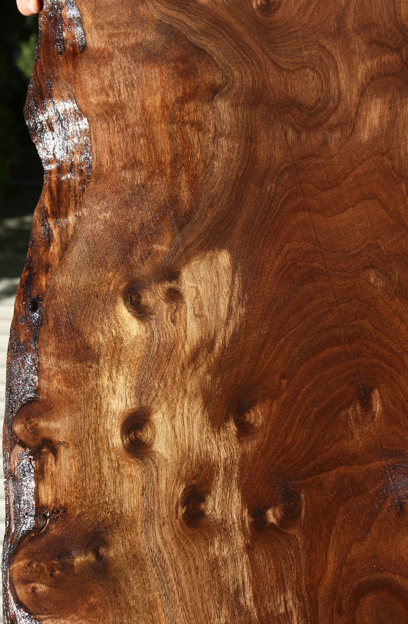 Figured Claro Walnut Live Edge Slab