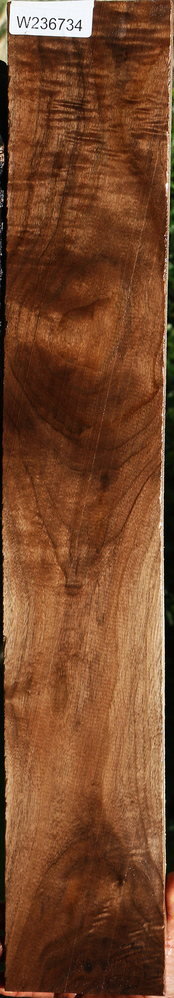 Figured Claro Walnut Lumber