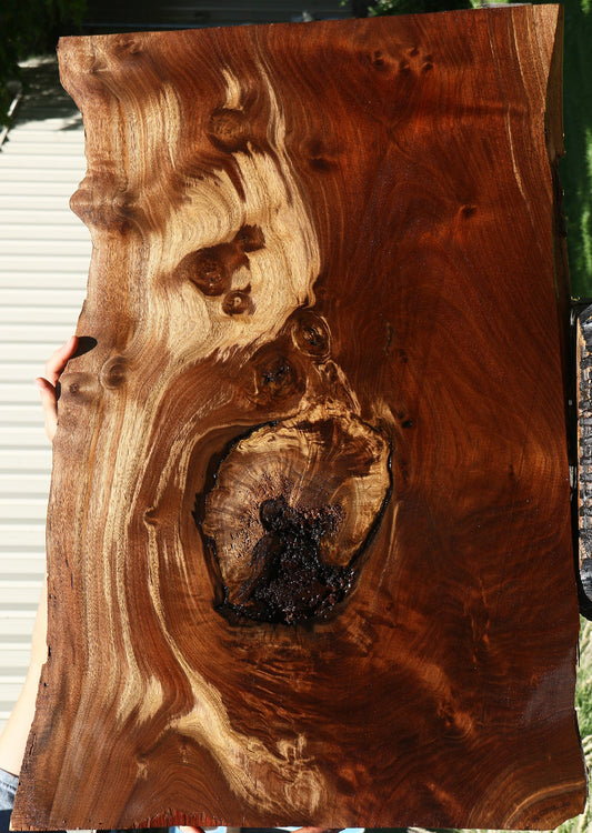 Figured Rustic Claro Walnut Live Edge Mini Slab