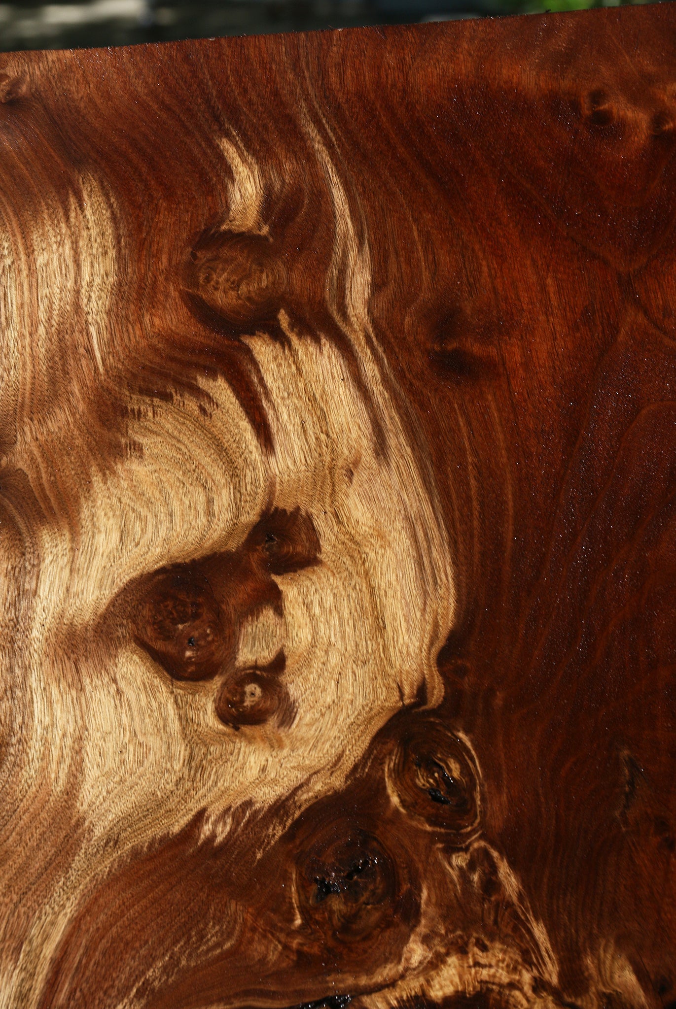 Figured Rustic Claro Walnut Live Edge Mini Slab