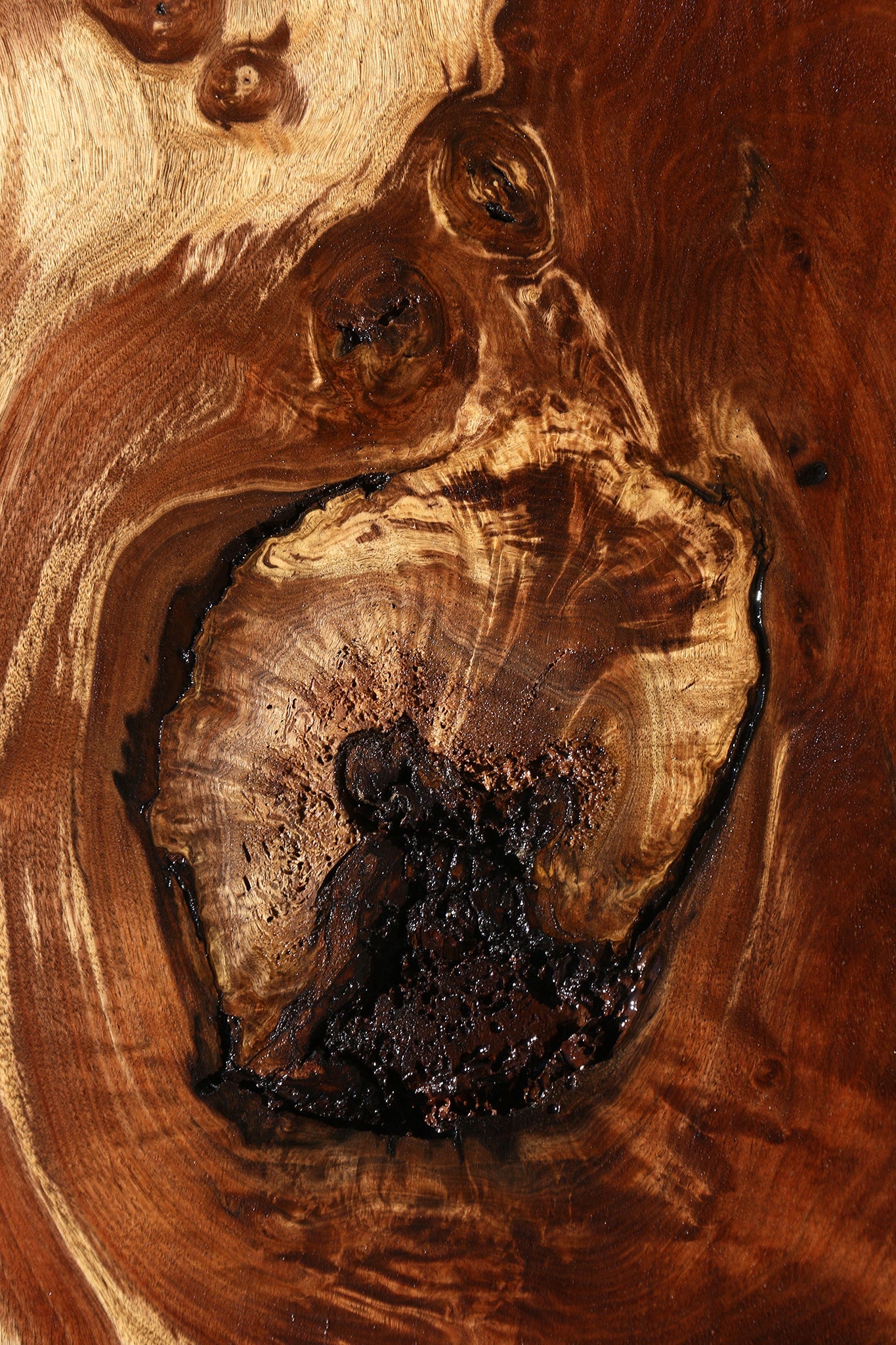 Figured Rustic Claro Walnut Live Edge Mini Slab