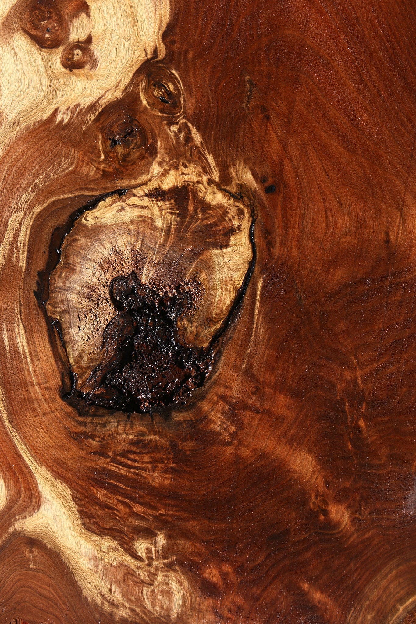 Figured Rustic Claro Walnut Live Edge Mini Slab