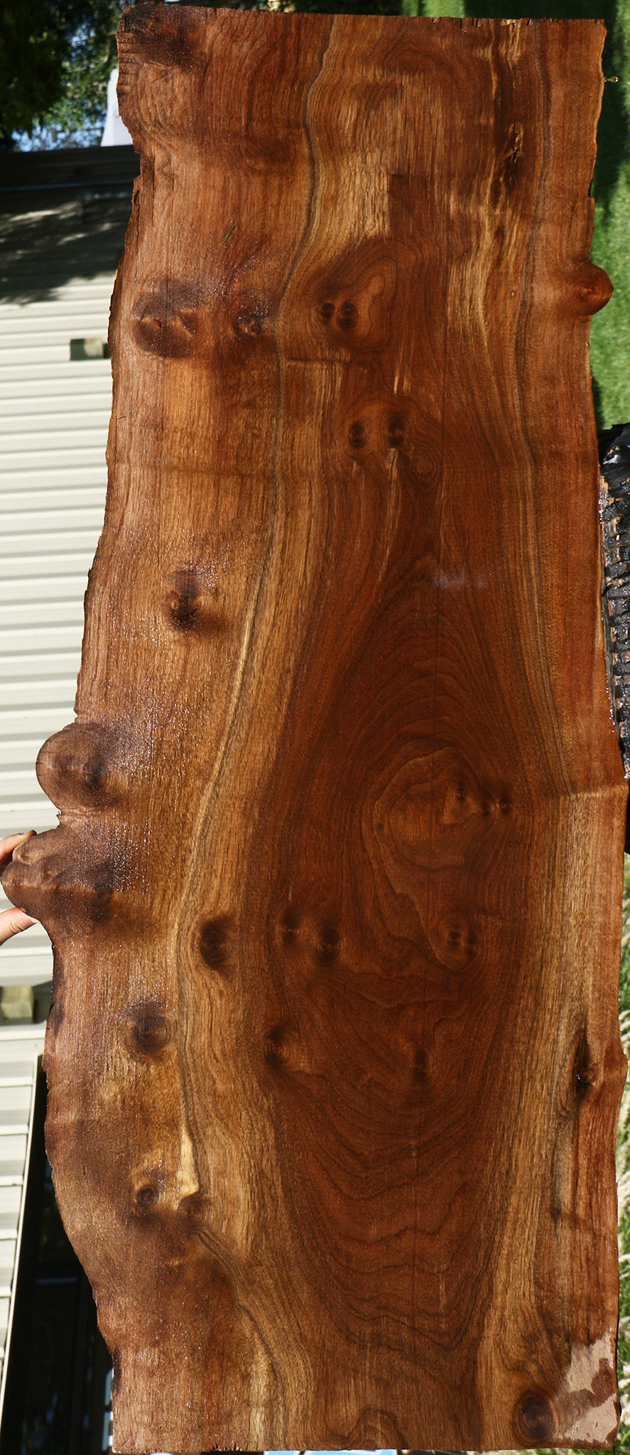 Figured Claro Walnut Live Edge Lumber