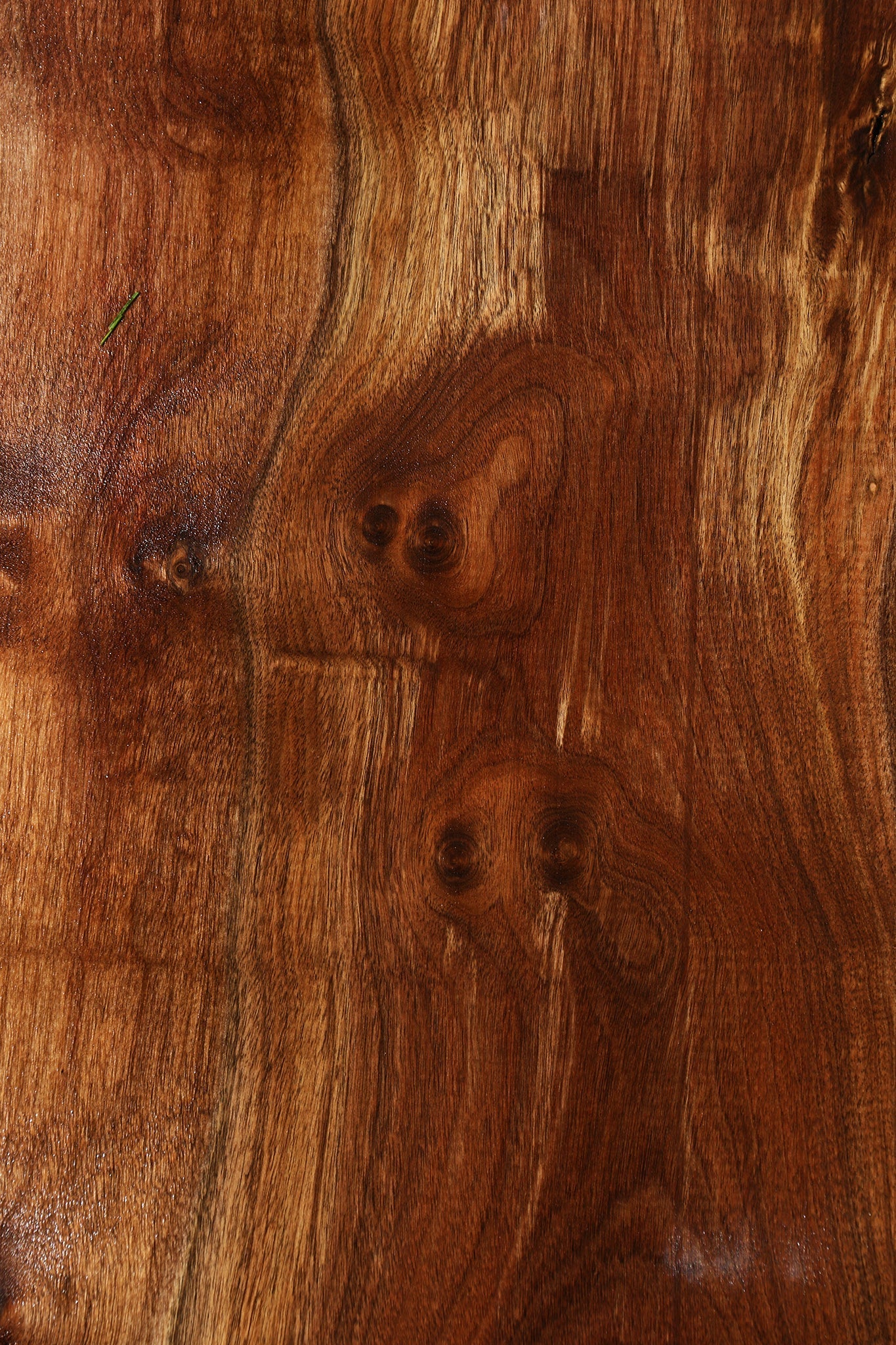 Figured Claro Walnut Live Edge Lumber