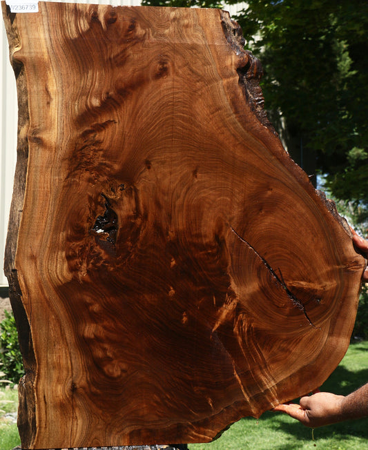 Figured Claro Walnut Live Edge Mini Slab