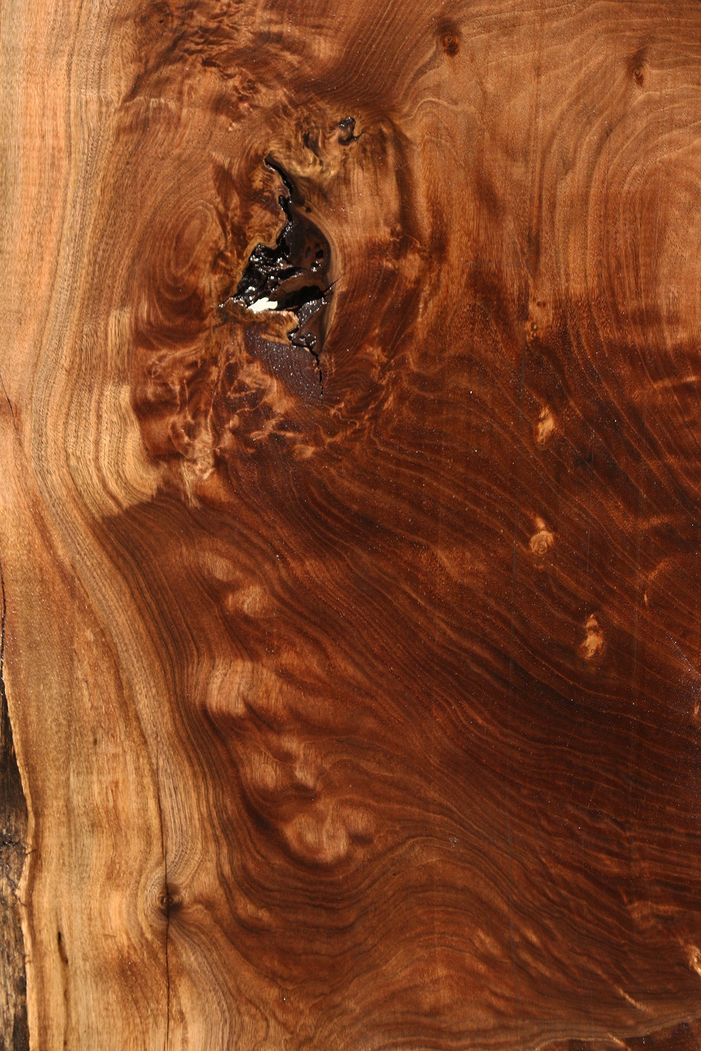 Figured Claro Walnut Live Edge Mini Slab