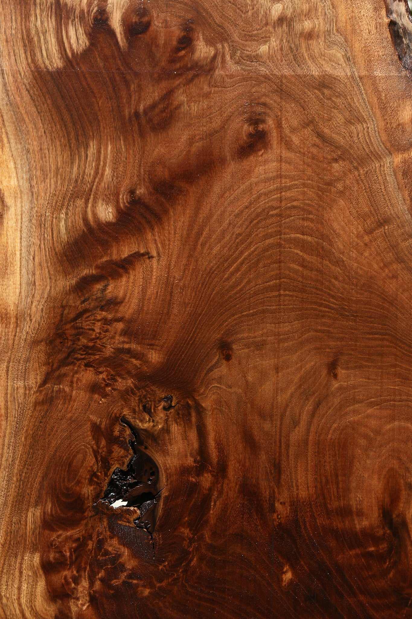 Figured Claro Walnut Live Edge Mini Slab