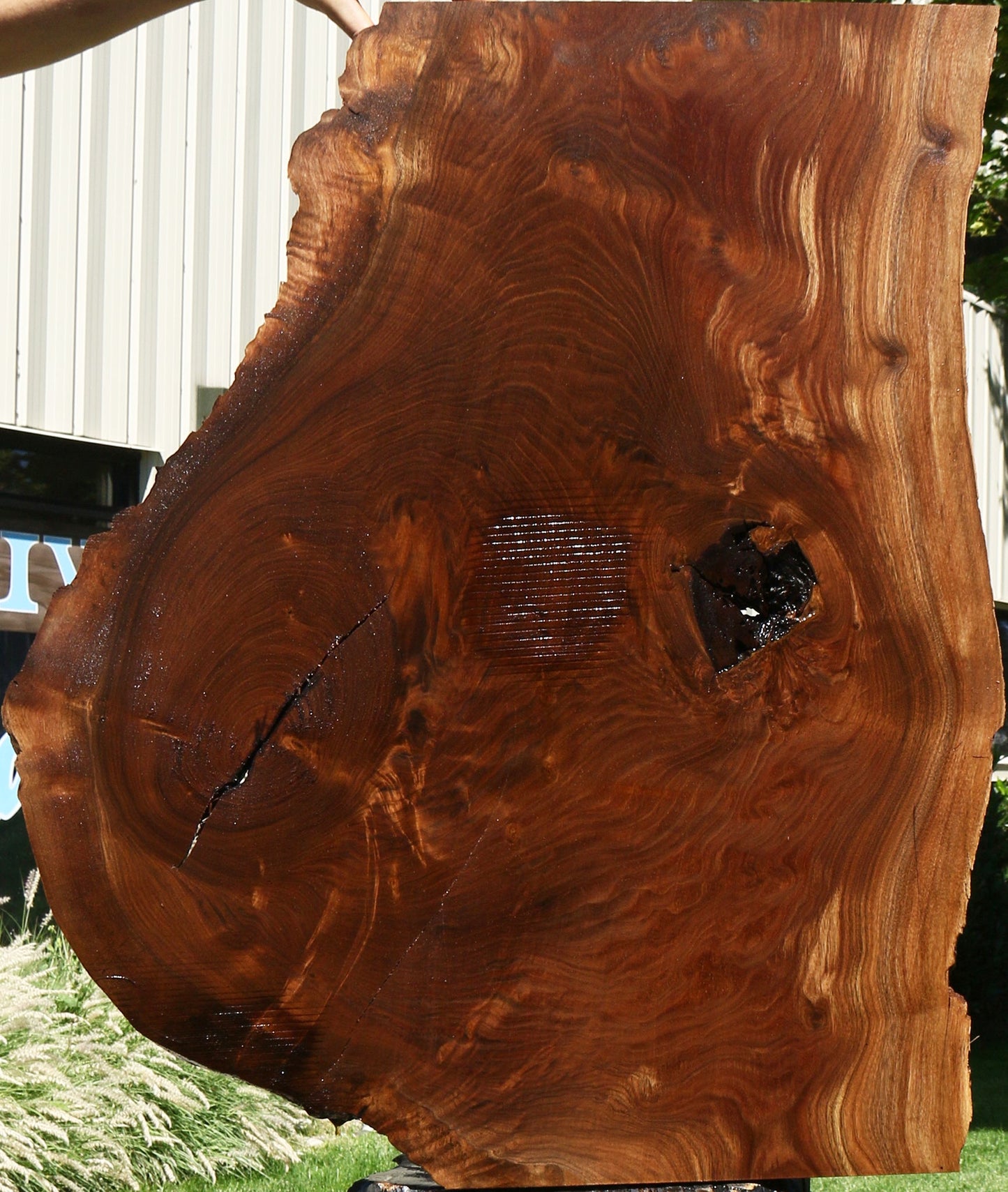 Figured Claro Walnut Live Edge Mini Slab