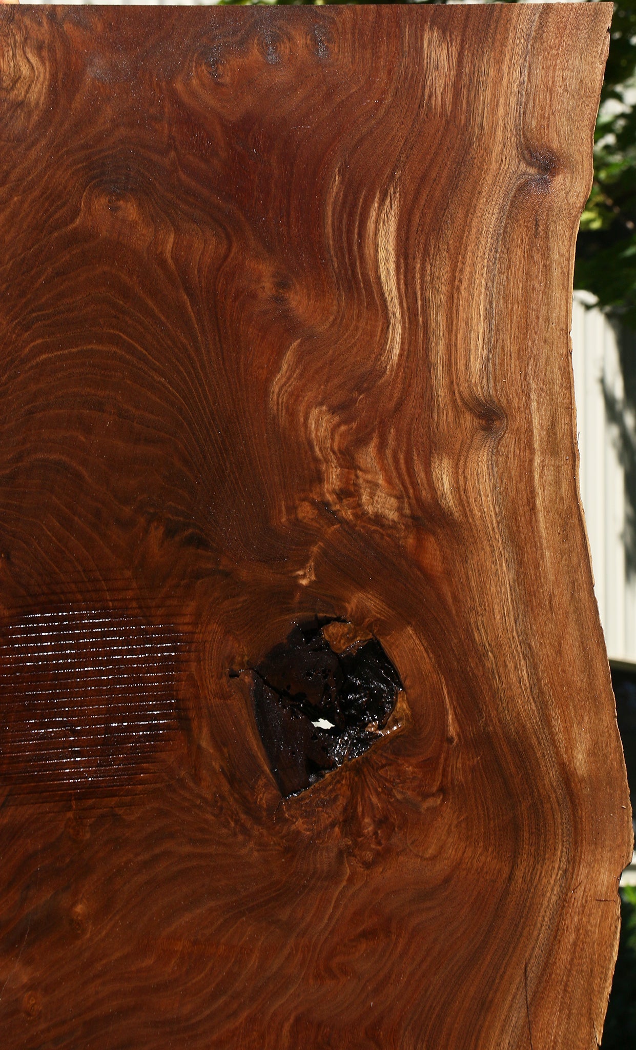 Figured Claro Walnut Live Edge Mini Slab