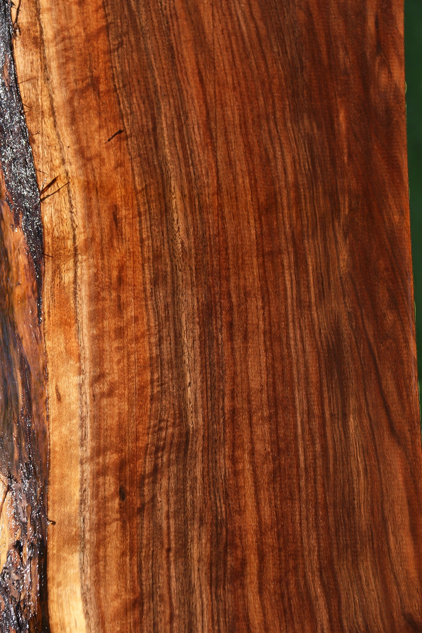 Extra Fancy Claro Walnut Live Edge Mantel