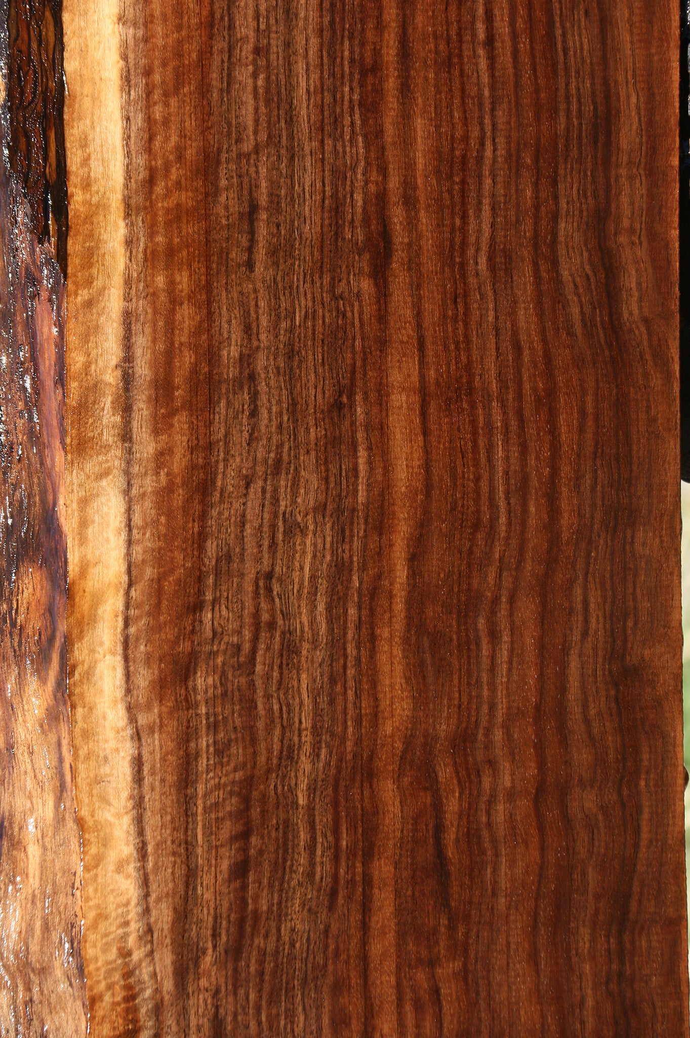 Extra Fancy Claro Walnut Live Edge Mantel