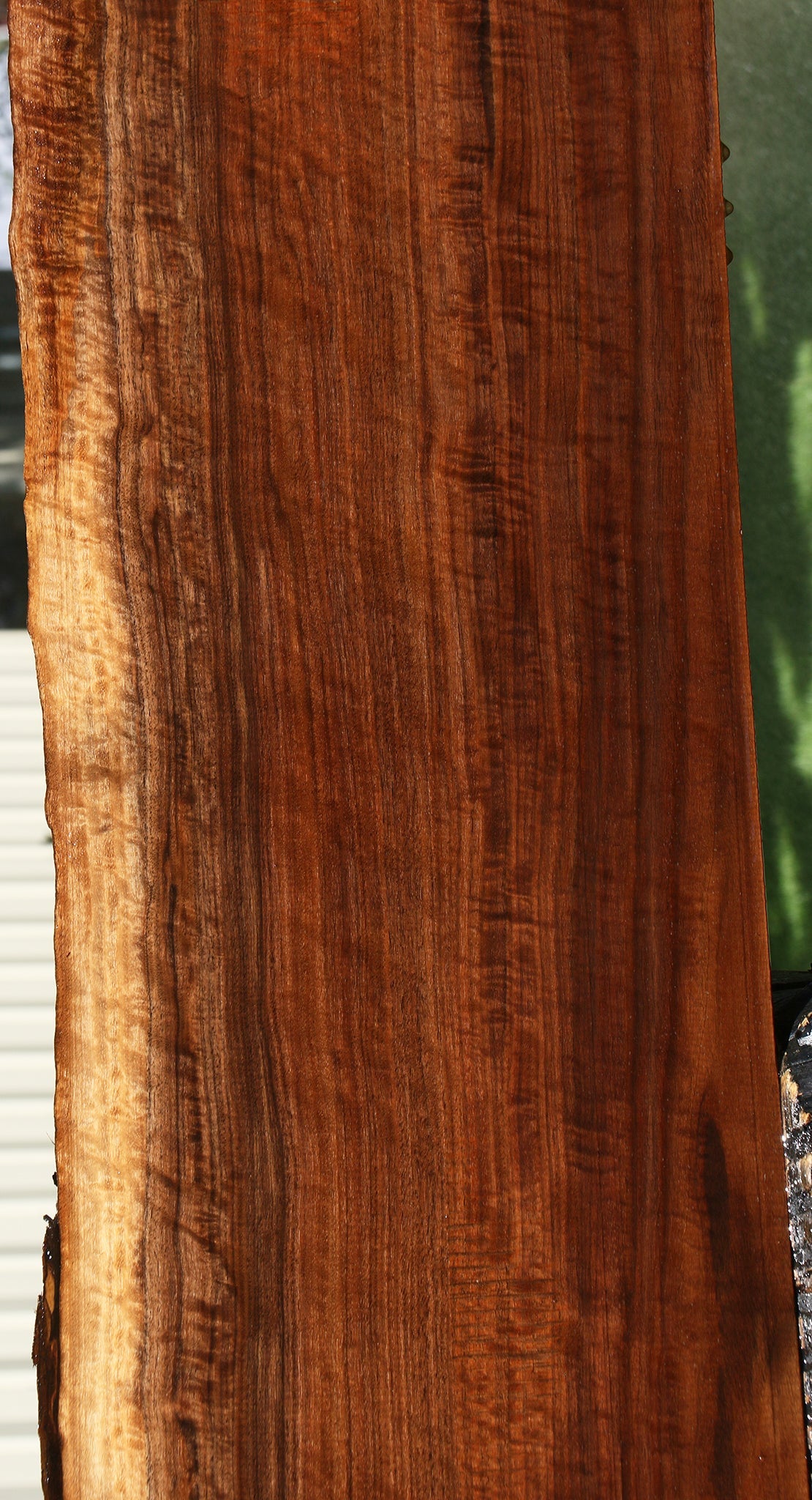 Extra Fancy Claro Walnut Live Edge Mantel