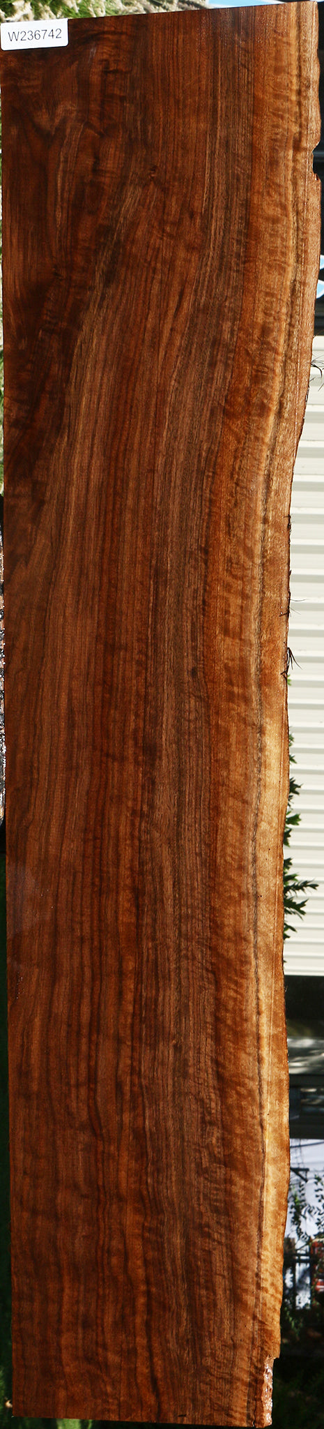 Claro Walnut Live Edge Mantel