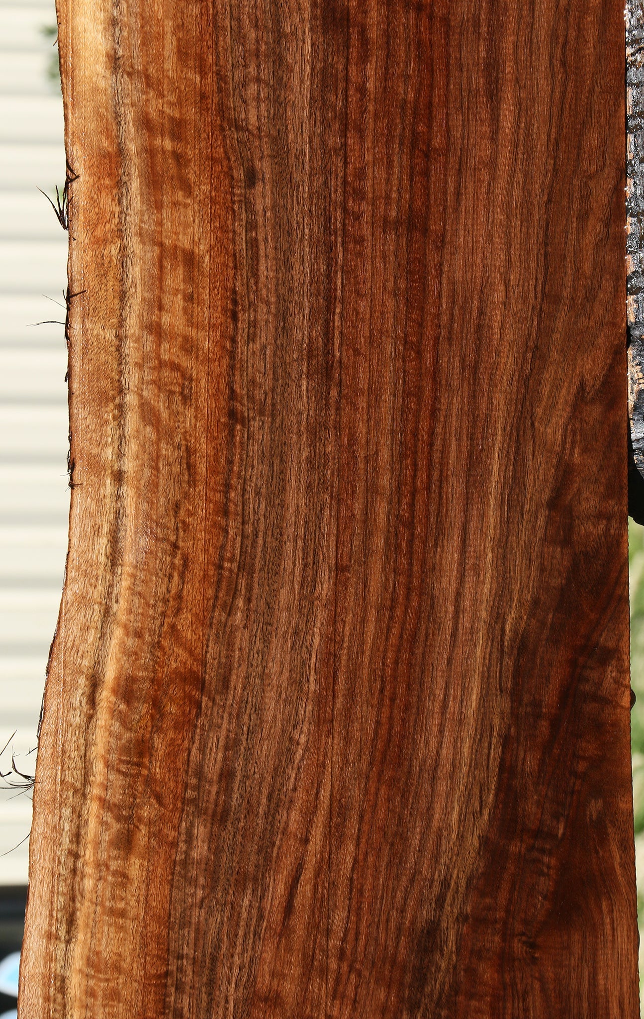 Claro Walnut Live Edge Mantel