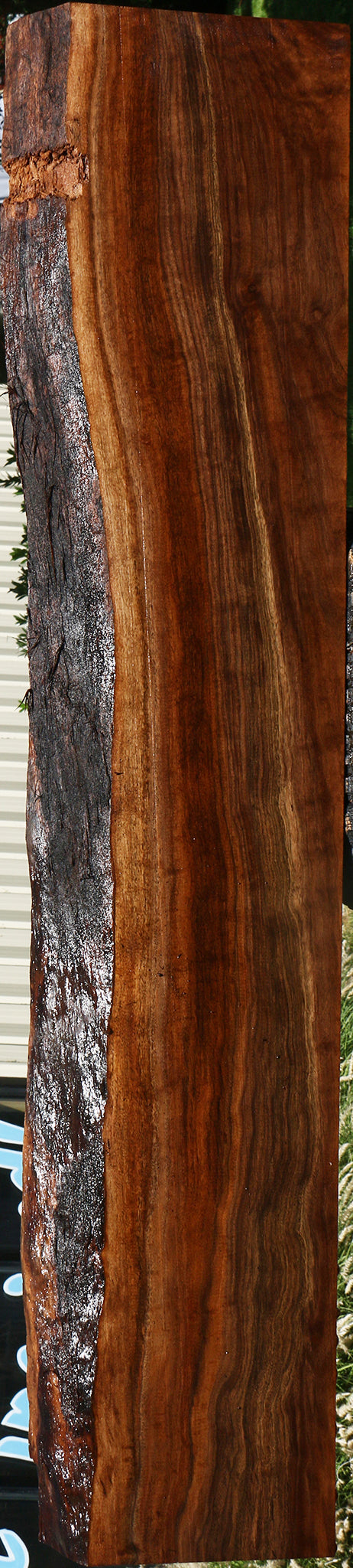 Claro Walnut Live Edge Mantel