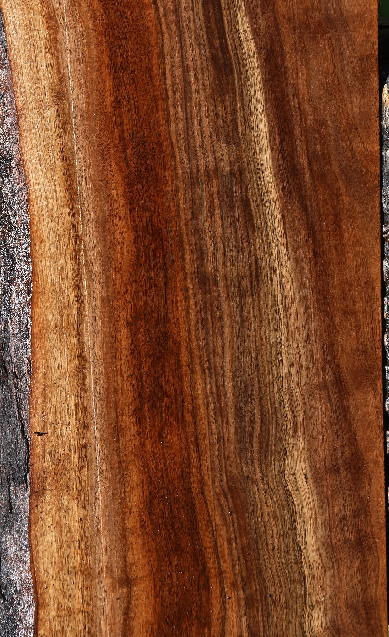 Claro Walnut Live Edge Mantel