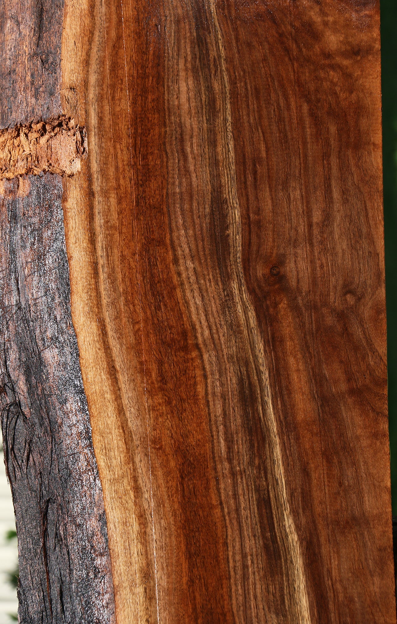 Claro Walnut Live Edge Mantel