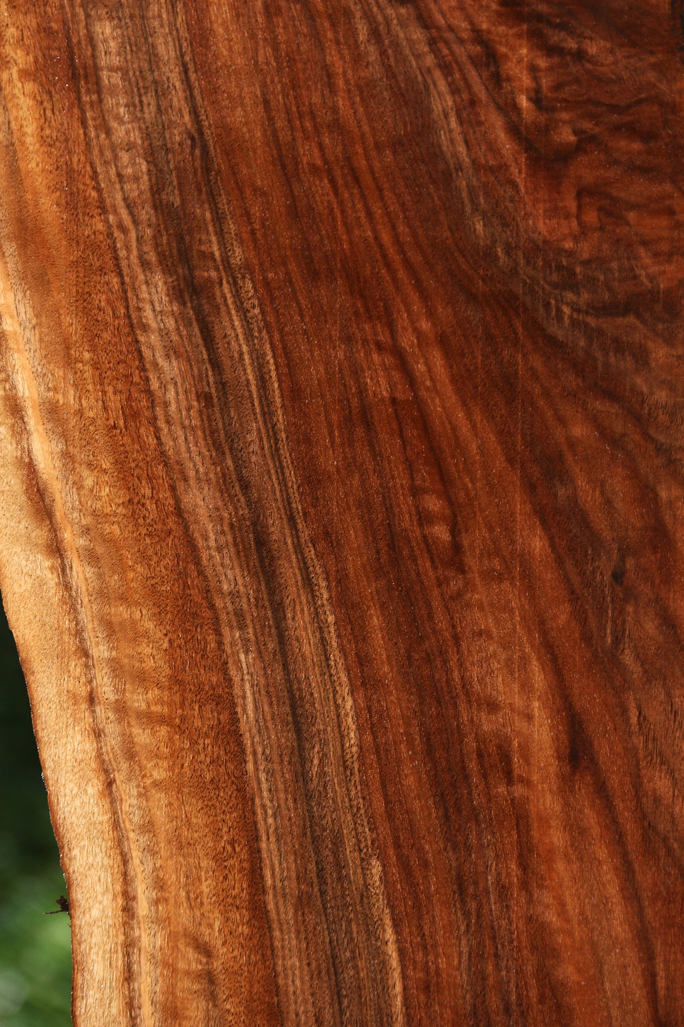 Figured Claro Walnut Live Edge Mini Slab