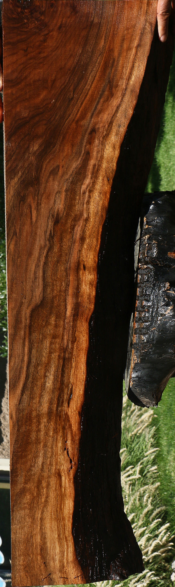 Figured Claro Walnut Live Edge Mini Slab