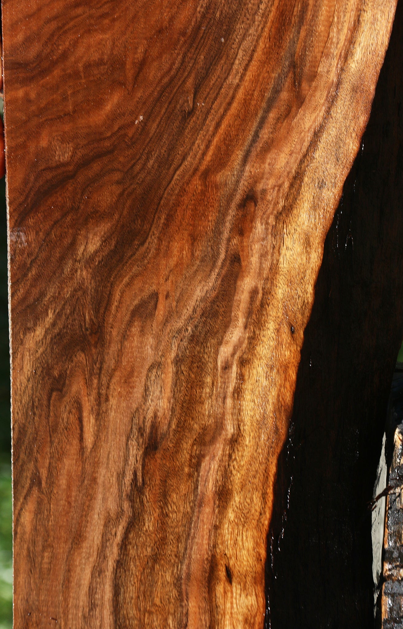 Figured Claro Walnut Live Edge Mini Slab