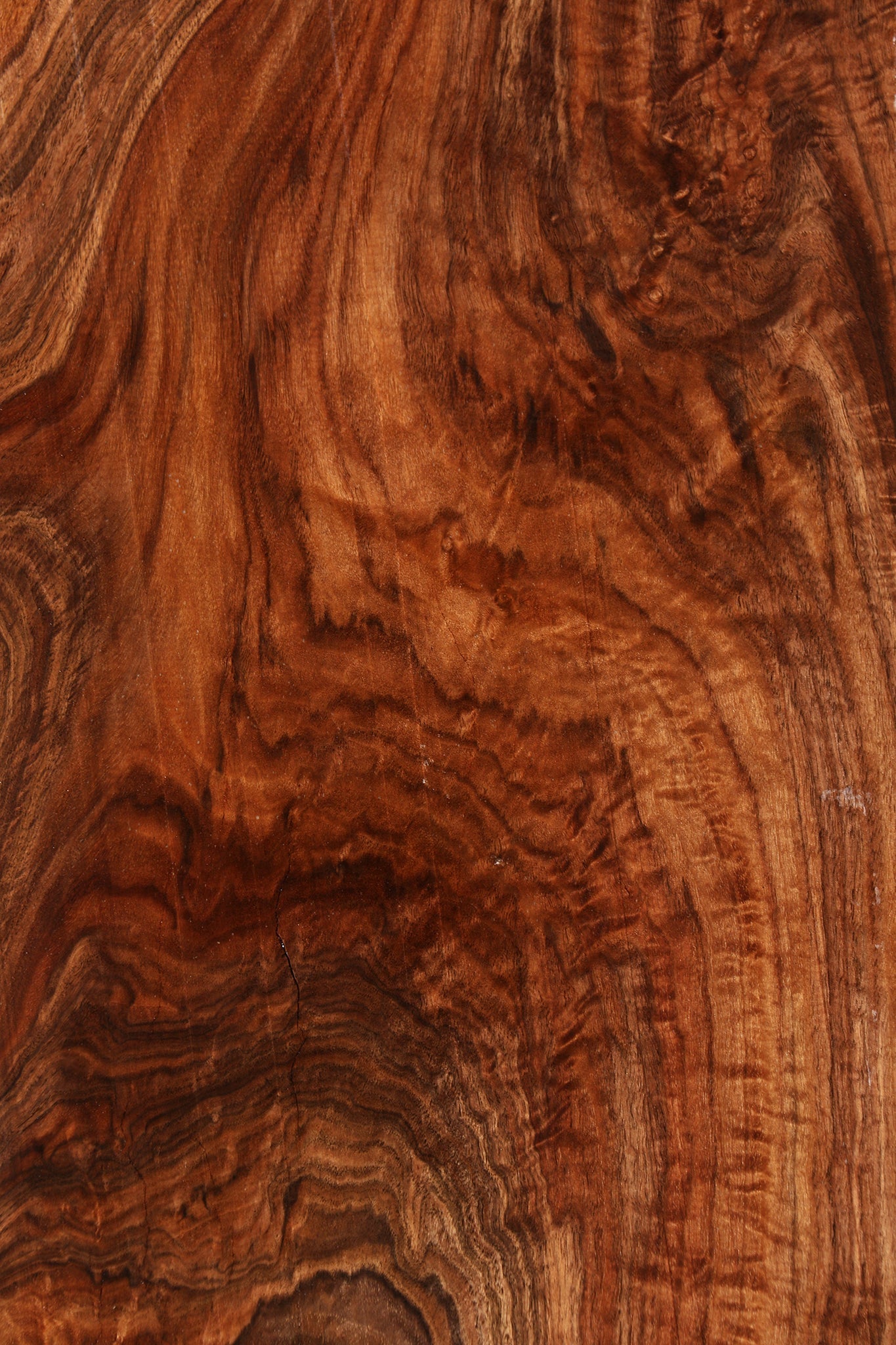 Extra Fancy Claro Walnut Mini Slab