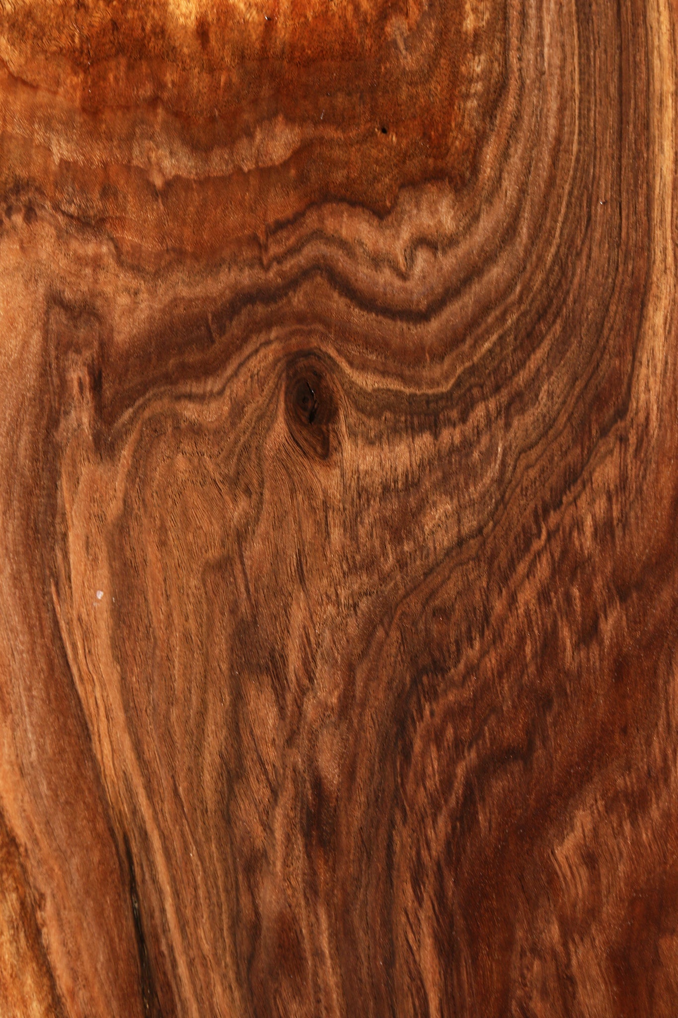 Extra Fancy Claro Walnut Mini Slab