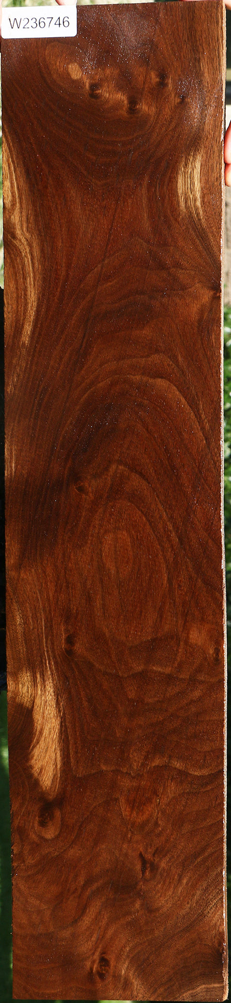 Claro Walnut Lumber