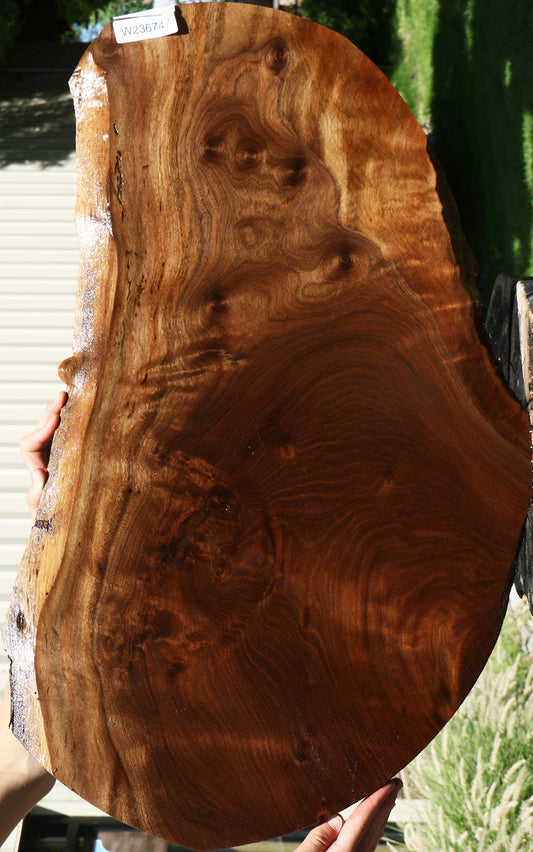 Figured Claro Walnut Live Edge Lumber