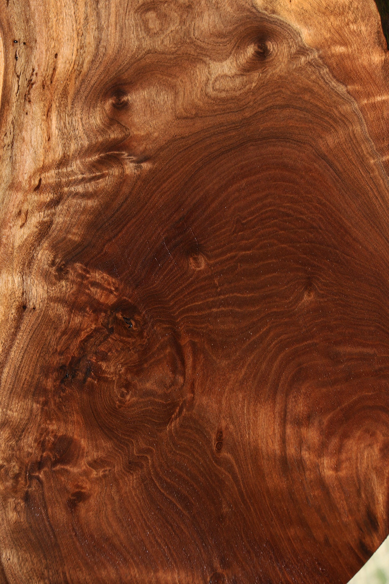 Figured Claro Walnut Live Edge Lumber