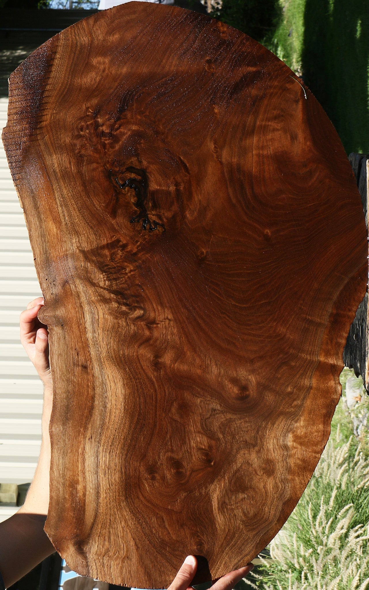 Figured Claro Walnut Live Edge Lumber