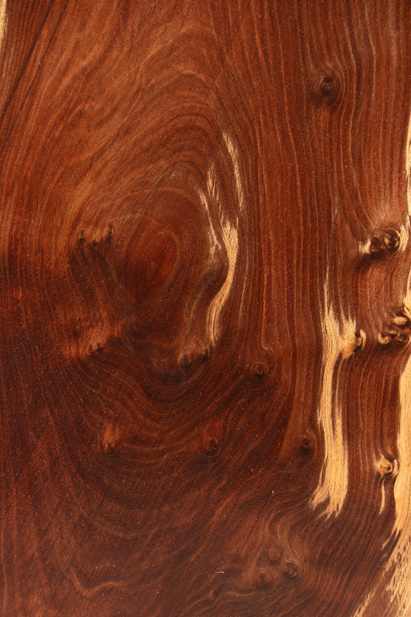 Claro Walnut Live Edge Slab