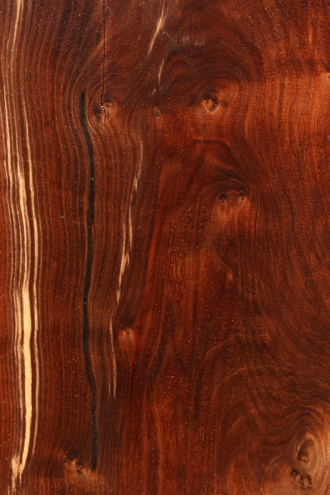 Claro Walnut Live Edge Slab
