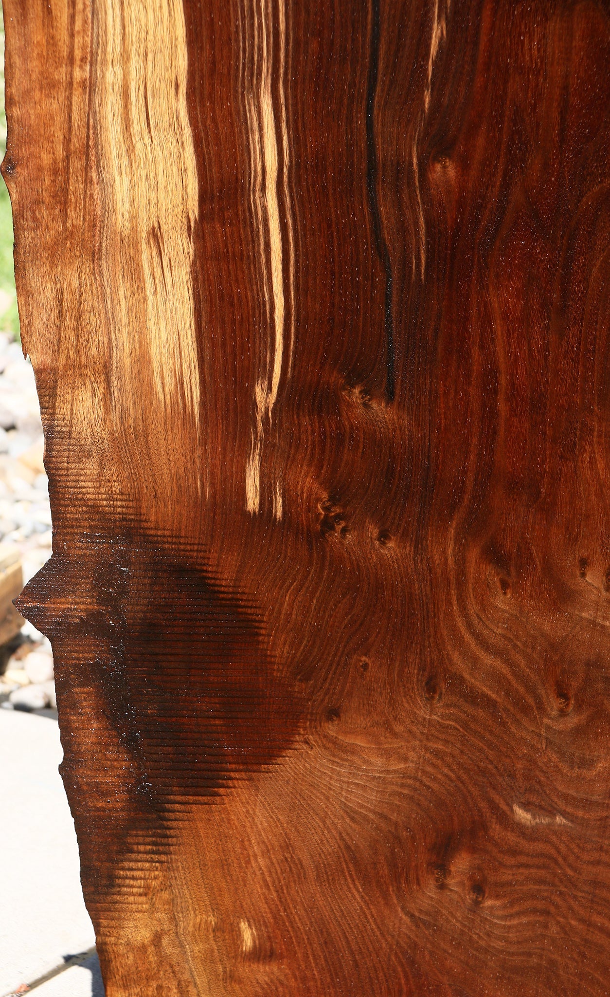 Claro Walnut Live Edge Slab