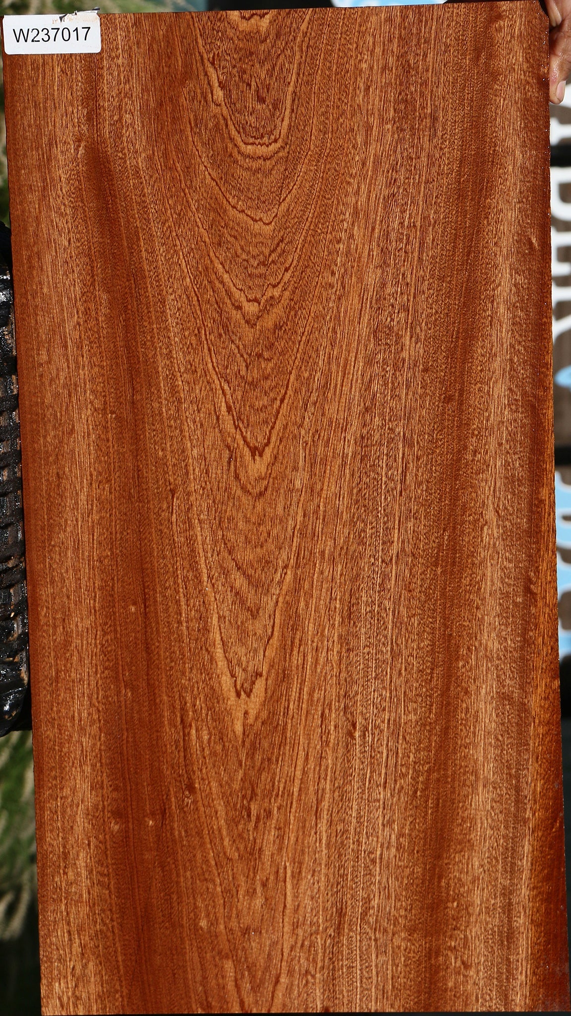 Sapele Lumber