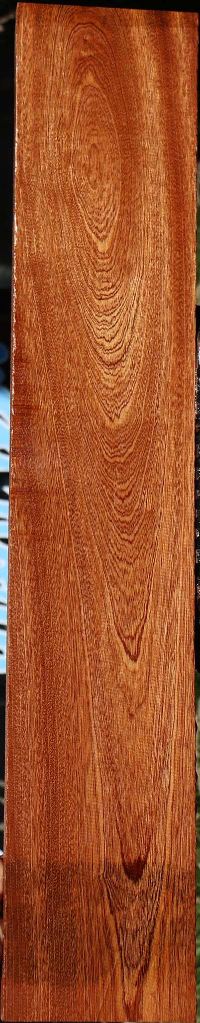 Sapele Lumber