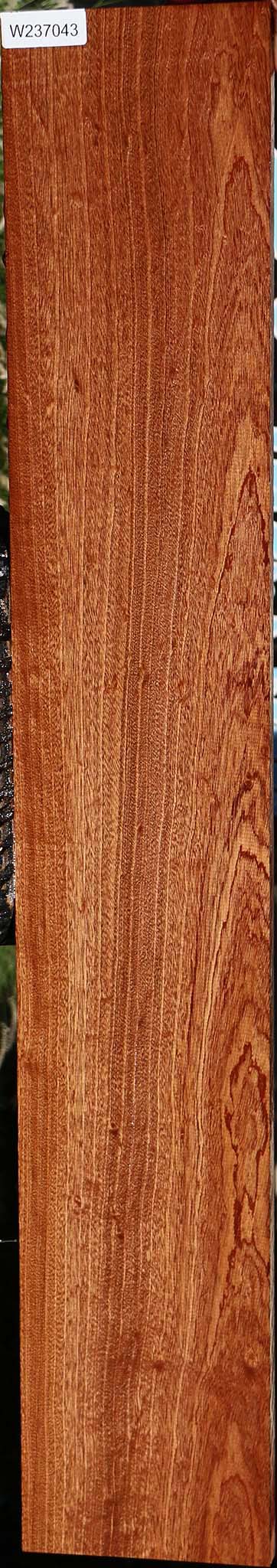 Sapele Lumber
