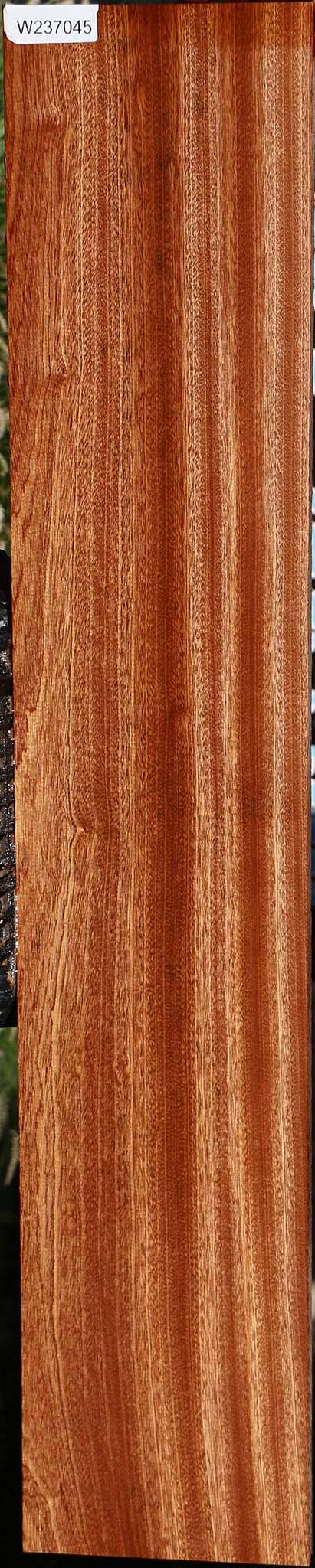 Sapele Lumber