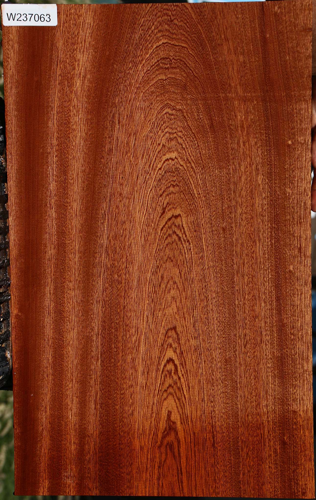 Sapele Lumber