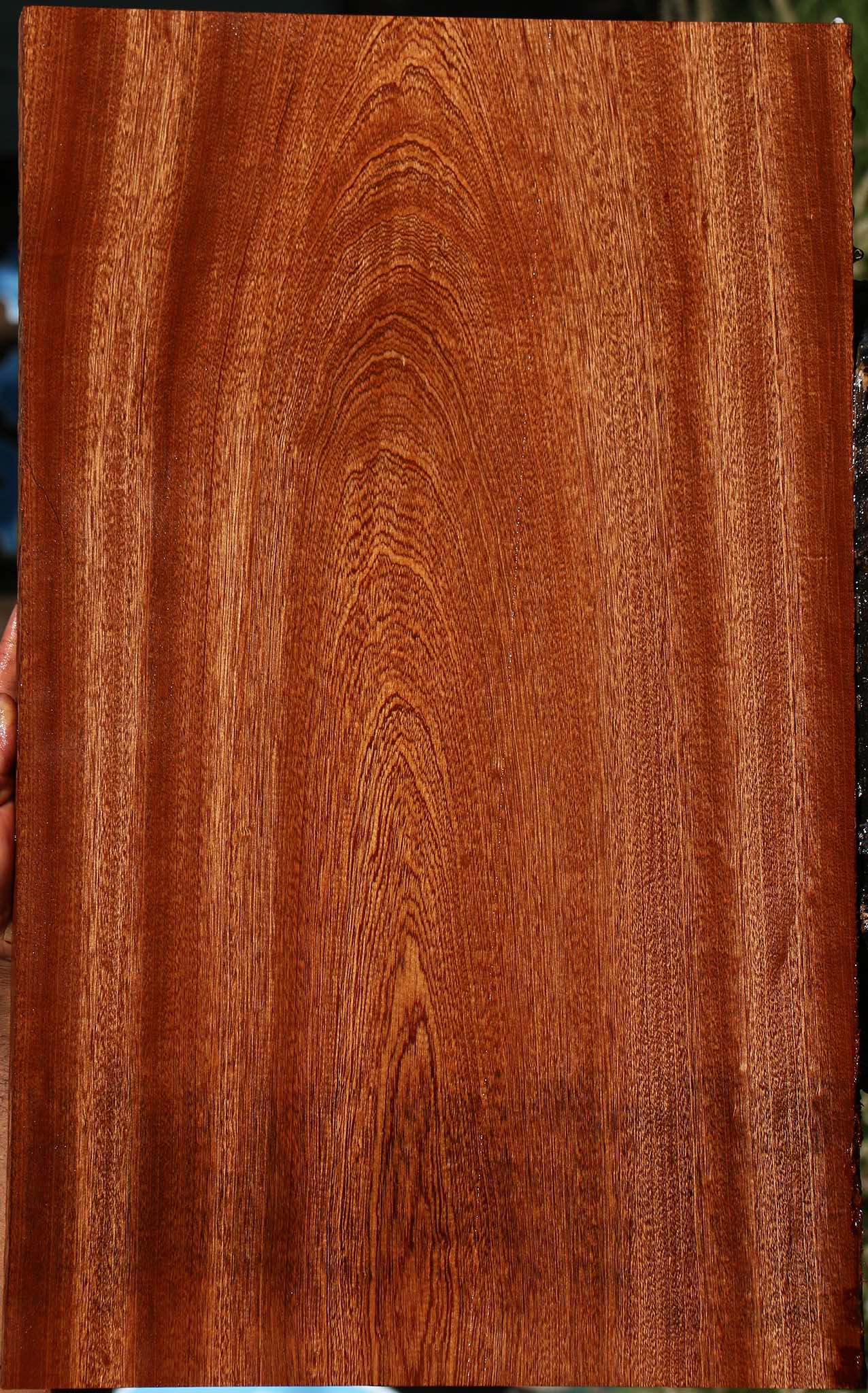 Sapele Lumber