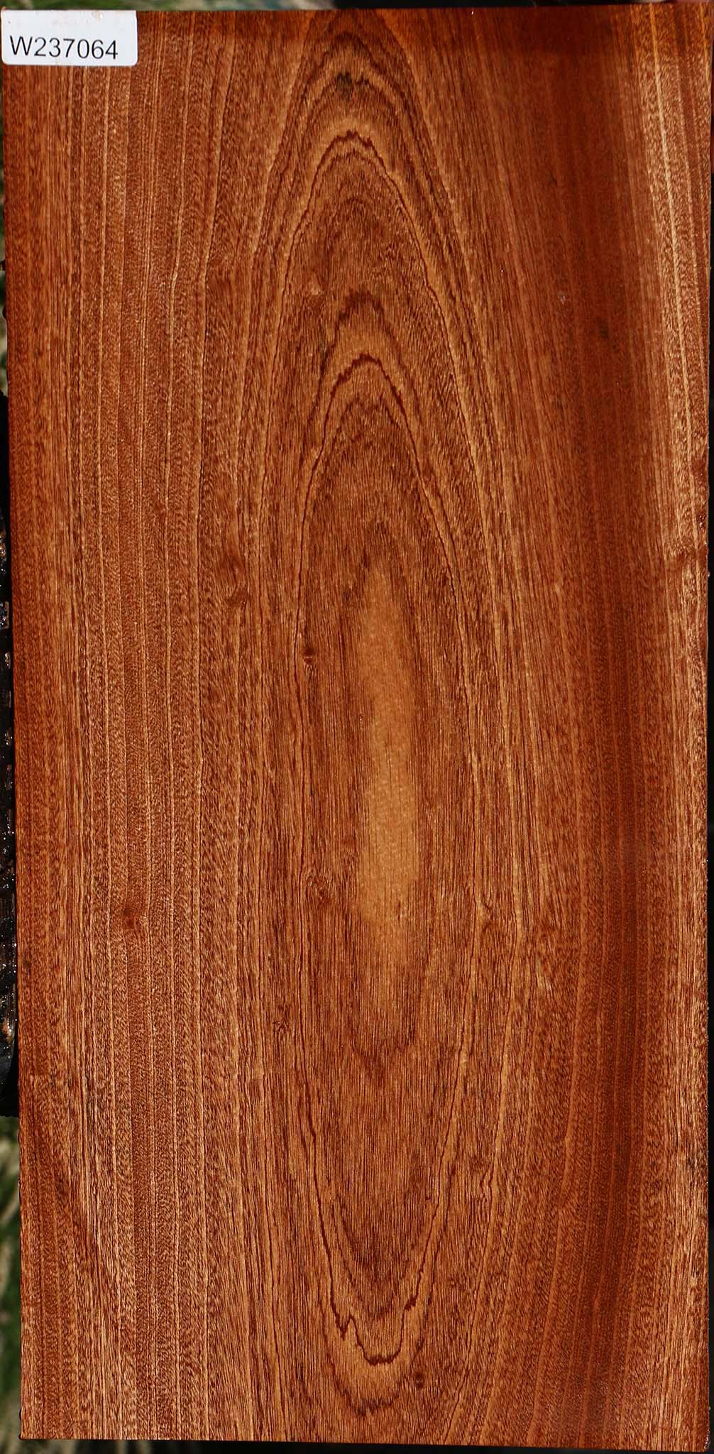 Sapele Lumber
