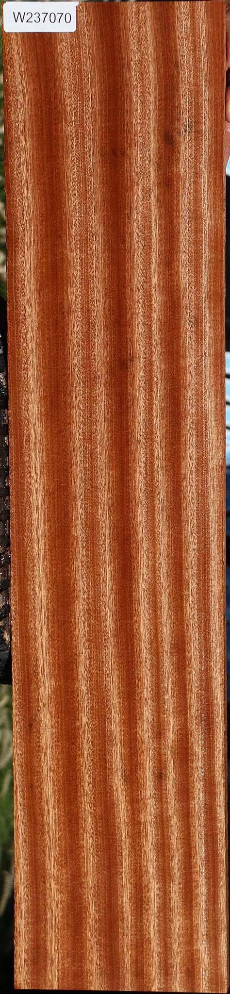 Figured Sapele Lumber